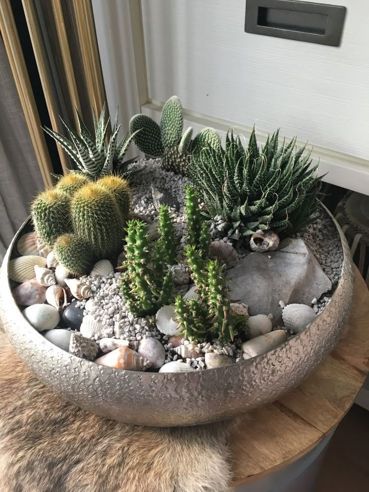Cactus mix