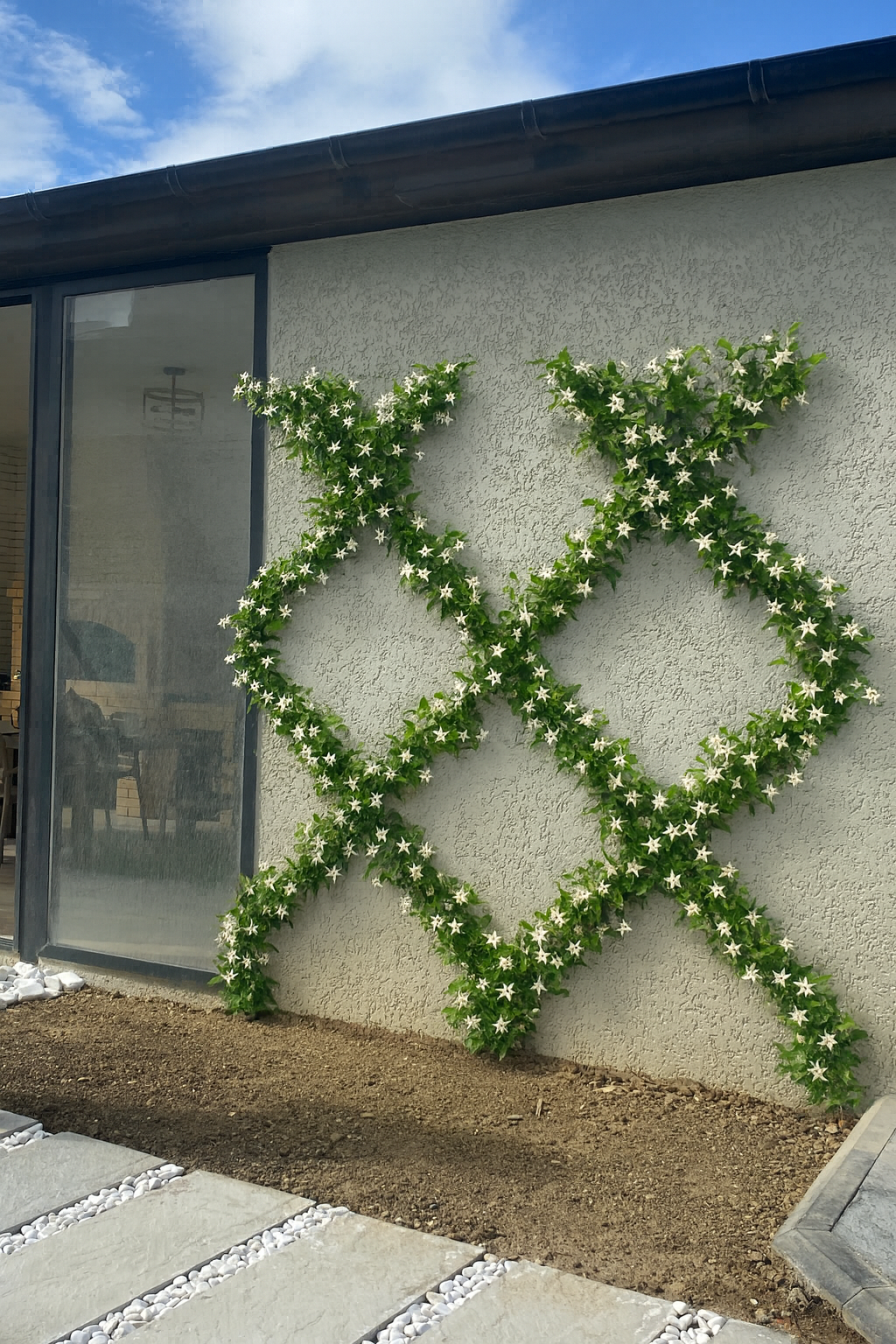 Bitki dizayn “kompozisiya”