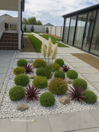 Çöl dizaynı (Landshaft)