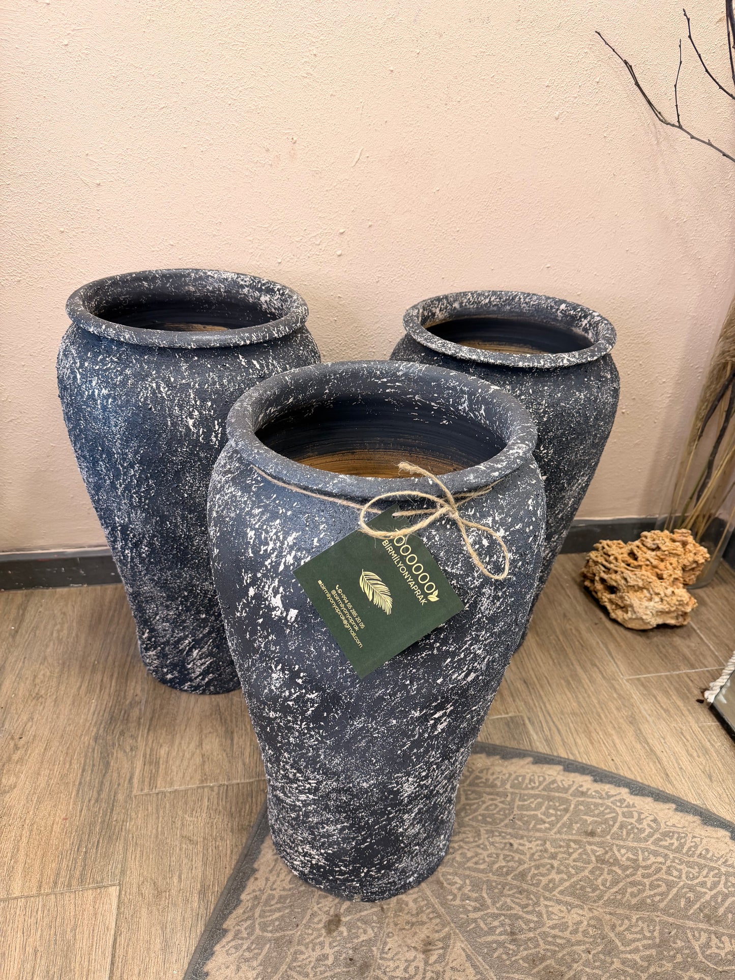 Saxsı dipçək