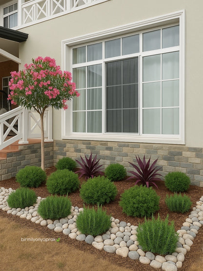 Bitki dizayn “kompozisiya”