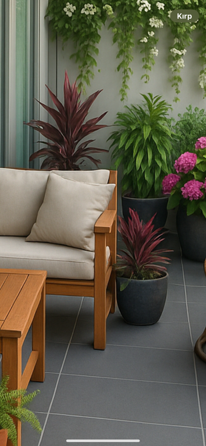 Bitki dizayn “kompozisiya”