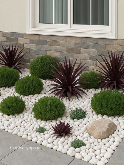 Çöl dizaynı (Landshaft)