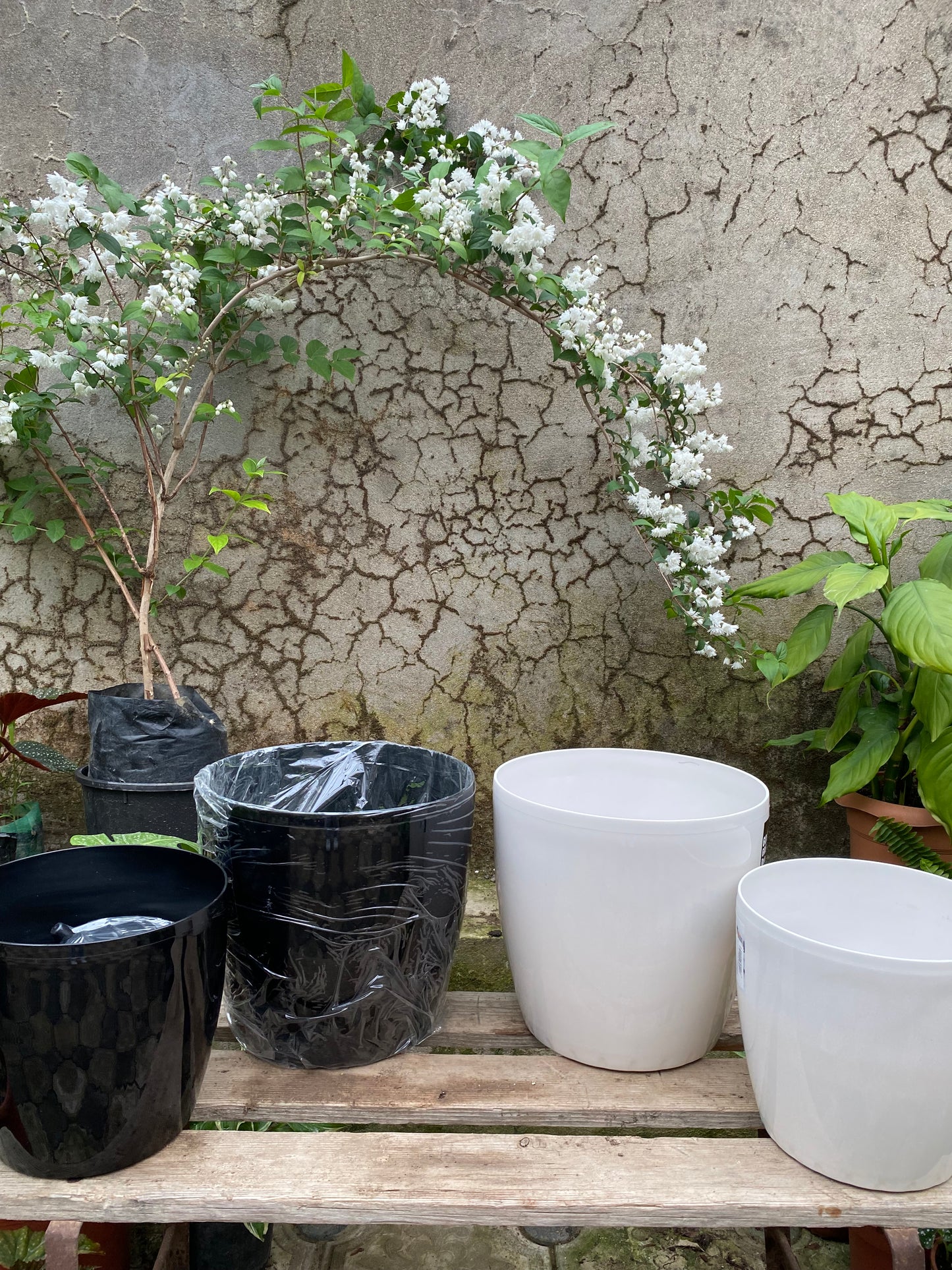 Avtopaliv dipçək qabı