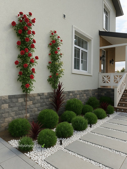 Çöl dizaynı (Landshaft)