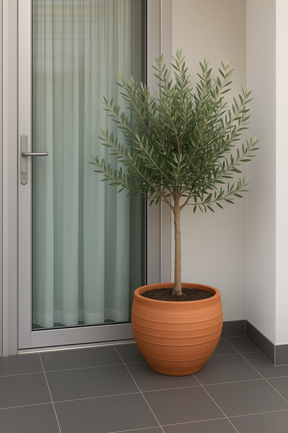 Bitki dizayn “kompozisiya”