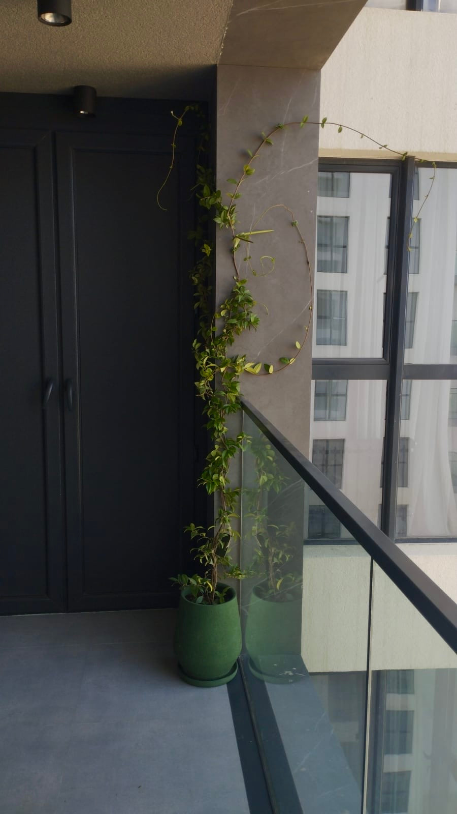Sarmaşıq dizaynı “Jasmin”